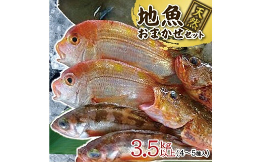 518　地魚おまかせセット　4～5種類入り計3、5kg以上 1268305 - 山形県遊佐町