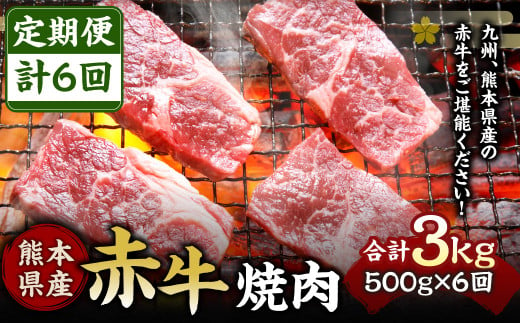 【定期便6回】熊本県産 赤牛 焼肉 500g×6回 計3kg 275627 - 熊本県水俣市