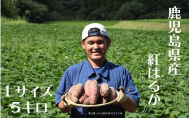 おすすめ サツマイモのふるさと納税を探す ふるさとチョイス