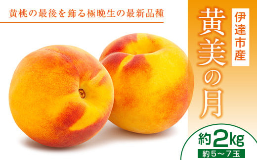 福島の桃 黄美の月2kg（5~7玉） 先行予約 フルーツ 果物 伊達の桃 もも モモ momo F20C-464 276359 - 福島県伊達市