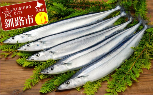 鮮さんま 2kg (18～20尾) ふるさと納税 魚 北海道 釧路 サンマ 旬 秋刀魚 F4F-3230 467163 - 北海道釧路市