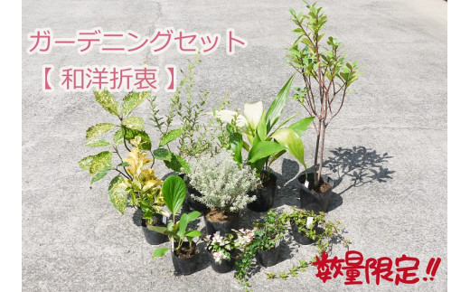 Bs046 ガーデニングセット 和洋折衷 限定10セット 花 苗 植物 家庭菜園 花壇 プランター ガーデニング 佐賀県みやき町 ふるさと納税 ふるさとチョイス