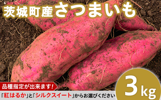 234茨城町産さつまいも3kg（紅はるか・シルクスイート）【2022年12月～2023年1月頃発送予定】