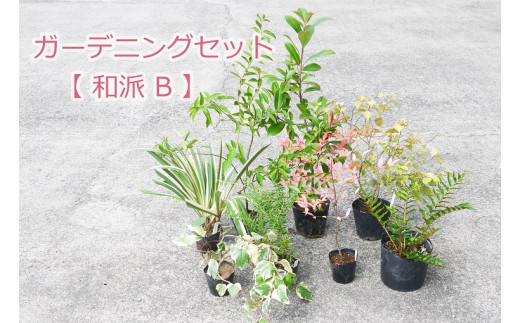 Bs042 ガーデニングセット 和派b 花 苗 植物 家庭菜園 花壇 プランター ガーデニング 佐賀県みやき町 ふるさと納税 ふるさとチョイス