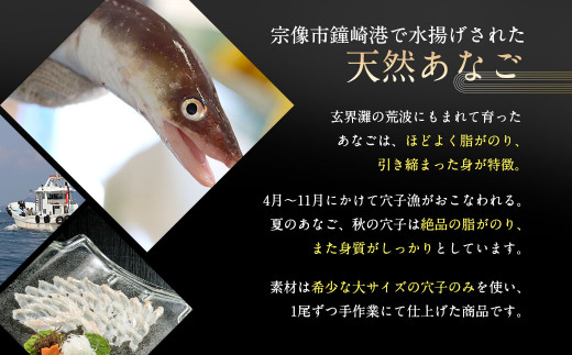 天然あなごの刺身 宗像産 1 2人前 60g 3パック Ka0453 福岡県宗像市 ふるさと納税 ふるさとチョイス