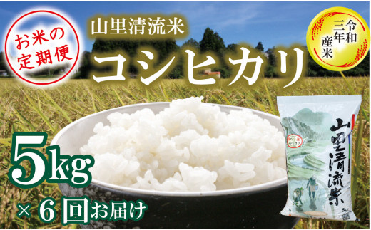 定期便 山里清流米コシヒカリ 5kg 6回 隔月 石川県小松市 ふるさと納税 ふるさとチョイス