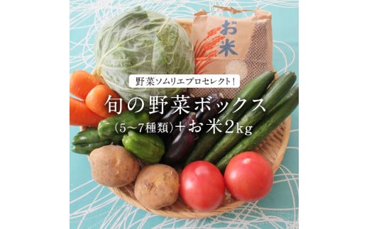 野菜ソムリエプロセレクト 旬の野菜ボックス ５ ７種類 お米２ Ay001ya 茨城県八千代町 ふるさと納税 ふるさとチョイス