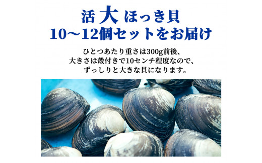 北海道厚真町近海で獲れた 活ほっき貝 10～12個セット