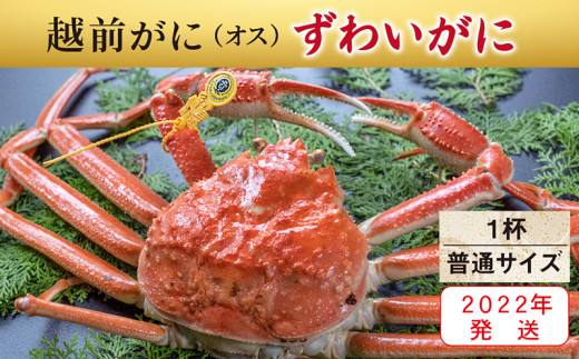 【2022年発送】越前がに(オス)「ずわいがに」(普通サイズ) 1杯