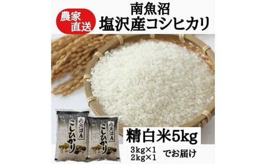 食品/飲料/酒【令和2年度】新米　白米20kg （5kg×4）長野県産　コシヒカリ　お米