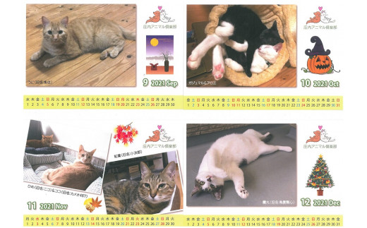 庄内アニマル倶楽部を卒業した犬猫の、現在の姿のカレンダーです。
壁掛けタイプ/A4サイズ（折りたたみ時A5サイズ）