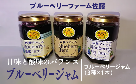 上三川産のブルーベリーに蜂蜜やイチゴをブレンドした美味しいジャムのセット 3種各1本 22年7月中旬頃から順次発送予定 栃木県上三川町 ふるさと納税 ふるさとチョイス