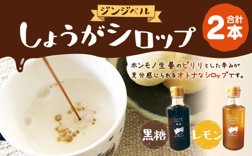 ジンジベル しょうが シロップ 235g 2本セット 生姜 レモン 黒糖 熊本県合志市 ふるさと納税 ふるさとチョイス