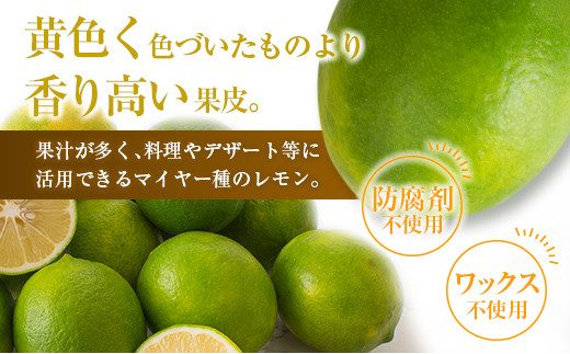 B158 21 フルーツ 期間 数量限定 グリーンマイヤーレモン 計5kg 宮崎県日南市 ふるさと納税 ふるさとチョイス