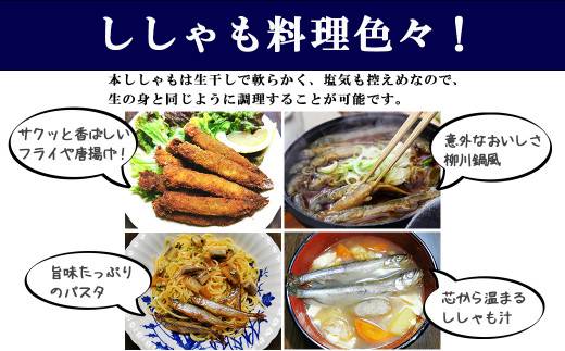 先行予約 貴重な国産シシャモ本物の味 厚真町産生干しシシャモ 北海道厚真町 ふるさと納税 ふるさとチョイス