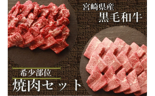 宮崎県産 黒毛和牛 希少部位 焼肉セット 1kg [35-07]