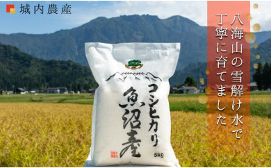 南魚沼産コシヒカリ　白米５ｋｇ【５割減農薬栽培米】 令和３年産