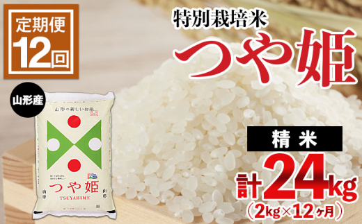 【定期便12回】山形産 特別栽培米 つや姫 2kg×12ヶ月(計24kg) FZ21-331
