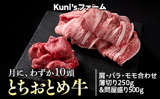 とちおとめ牛 モモステーキ300g&ハンバーグパテ500gセット - 栃木県上