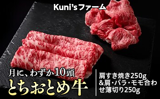 とちおとめ牛 モモステーキ300g&ハンバーグパテ500gセット - 栃木県上
