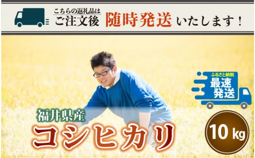 令和4年産新米 さんさん池見二代目が笑顔で育てたコシヒカリ 10kg 福井県産 生産者直送 今なら随時発送中 A 0221 坂井市坂井市 ふるさと納税 ふるさとチョイス