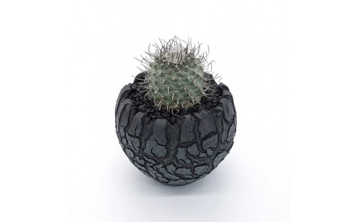 陶芸家セキグチタカヒトの植木鉢 Opot Deapsea Sサイズ