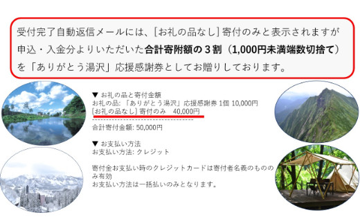 ありがとう湯沢 応援感謝券 新潟県湯沢町 ふるさと納税 ふるさとチョイス