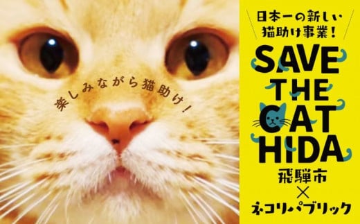 シェルター&ホスピスに名前を刻める権利 SAVE THE CAT HIDA PROJECT ネコリパブリックの保護猫活動×飛騨市のコラボプロジェクト