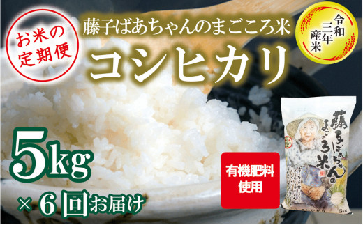 定期便 藤子ばぁちゃんのまごころ米 5kg 6回 隔月 石川県小松市 ふるさと納税 ふるさとチョイス