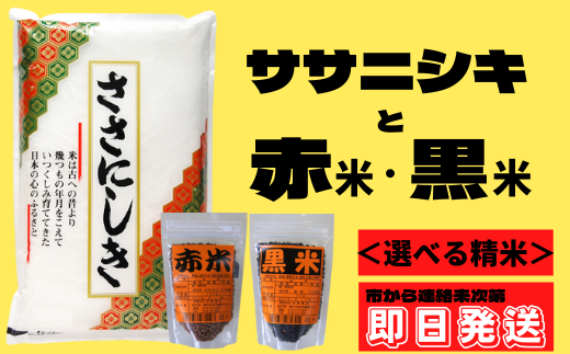 [寄附金額変更]一関市花泉町産 進さんのササニシキ2kg ・古代米セット