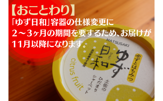 ゆず日和 シャーベット １０個 北川村温泉ゆずの宿 高知県北川村 ふるさと納税 ふるさとチョイス