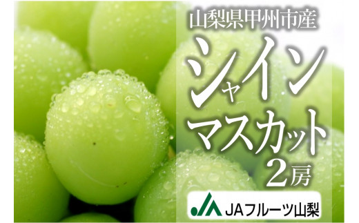 すぐに食べたい方！　クール便　山梨県産　シャインマスカット(2房)　1.2kg