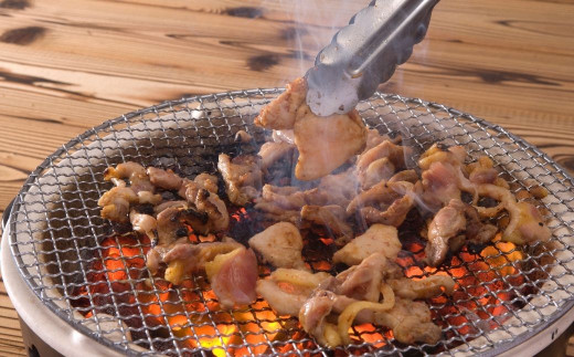 九州産 特製タレ漬 鶏の炭火焼 生肉 900g 国産鶏