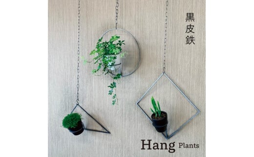 GRAVIRoN Hang Plants シリーズ Triangle/Diamond/Round セット 黒皮鉄