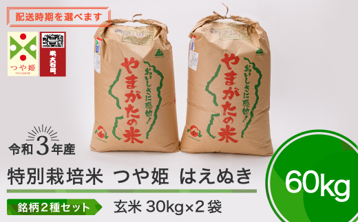 令和6年1月上旬発送 つや姫 はえぬき 各30kg 計60kg 玄米 先行予約 令