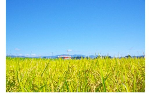 令和5年産 米 つや姫 30㎏ 大石田町産 特別栽培米 玄米