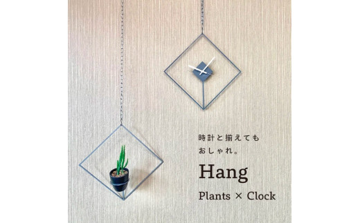 GRAVIRoN Hang Plants シリーズ Diamond 酸洗鉄（プランツハンガー）