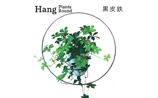 GRAVIRoN Hang Plants シリーズ Triangle/Diamond/Round セット 黒皮鉄