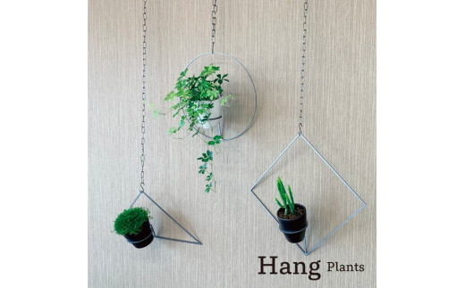 GRAVIRoN Hang Plants シリーズ Diamond 黒皮鉄（プランツハンガー）