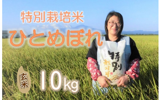 【令和5年産・玄米】小野寺農園の特別栽培米ひとめぼれ10kg