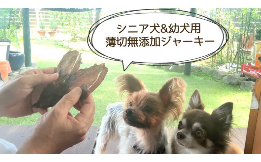 Fb013 5月 9月発送 犬の無添加おやつ お砂糖不使用無添加アイスキャンディ 佐賀県みやき町 ふるさと納税 ふるさとチョイス