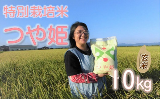 【令和6年産・玄米】小野寺農園の特別栽培米つや姫10kg