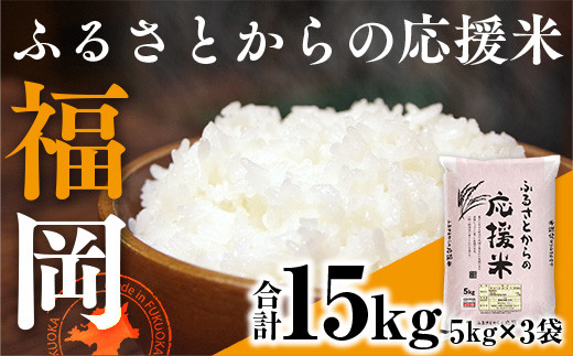 家庭応援米 訳あり 15kg 最新年度をお届け 精米 ブレンド米 TY029