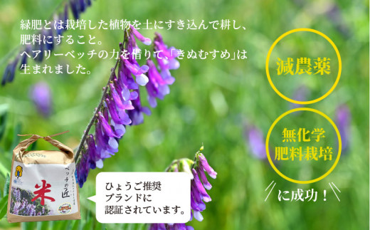 ベッチの匠米 14kg 先行予約 令和3年11月より発送 兵庫県加古川市 ふるさと納税 ふるさとチョイス