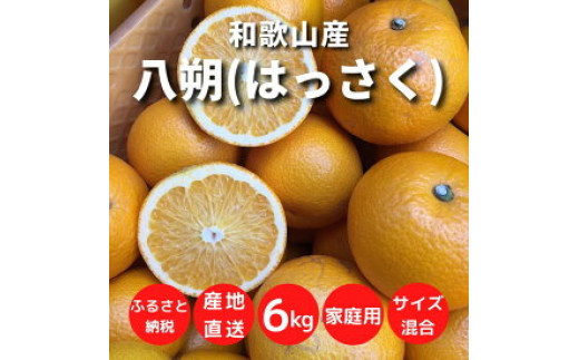 和歌山県産 八朔 6kg 家庭用 - 和歌山県那智勝浦町｜ふるさとチョイス