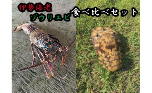 伊勢海老 希少ゾウリエビ 食べ比べセット 沖縄県宮古島市 ふるさと納税 ふるさとチョイス