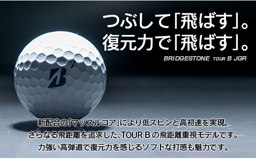 Tour B Jgr みやざき犬 ゴルフボール 宮崎県 ふるさと納税 ふるさとチョイス