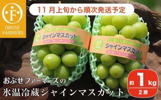 おすすめ 長野県小布施町 シャインマスカットのふるさと納税を探す ふるさとチョイス