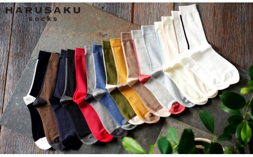 HARUSAKU バックラインソックス 5足セット (25cm〜27cm)/ 紳士 メンズ おしゃれ シンプル カジュアル ビジネス/ 消臭 靴下 日本製