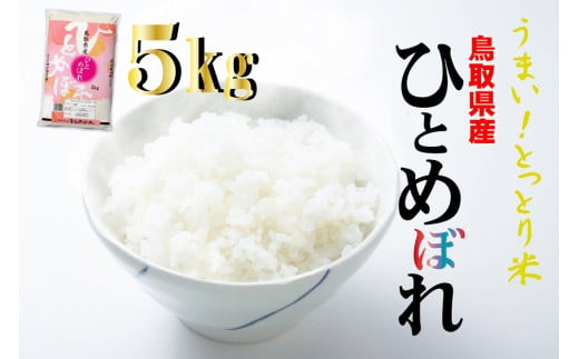 鳥取県産ひとめぼれ（５ｋｇ）令和５年産 新米 お米 米 こめ コメ 白米 ひとめぼれ 